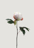 Cream Peony Bud Faux Flower Stem at Afloral