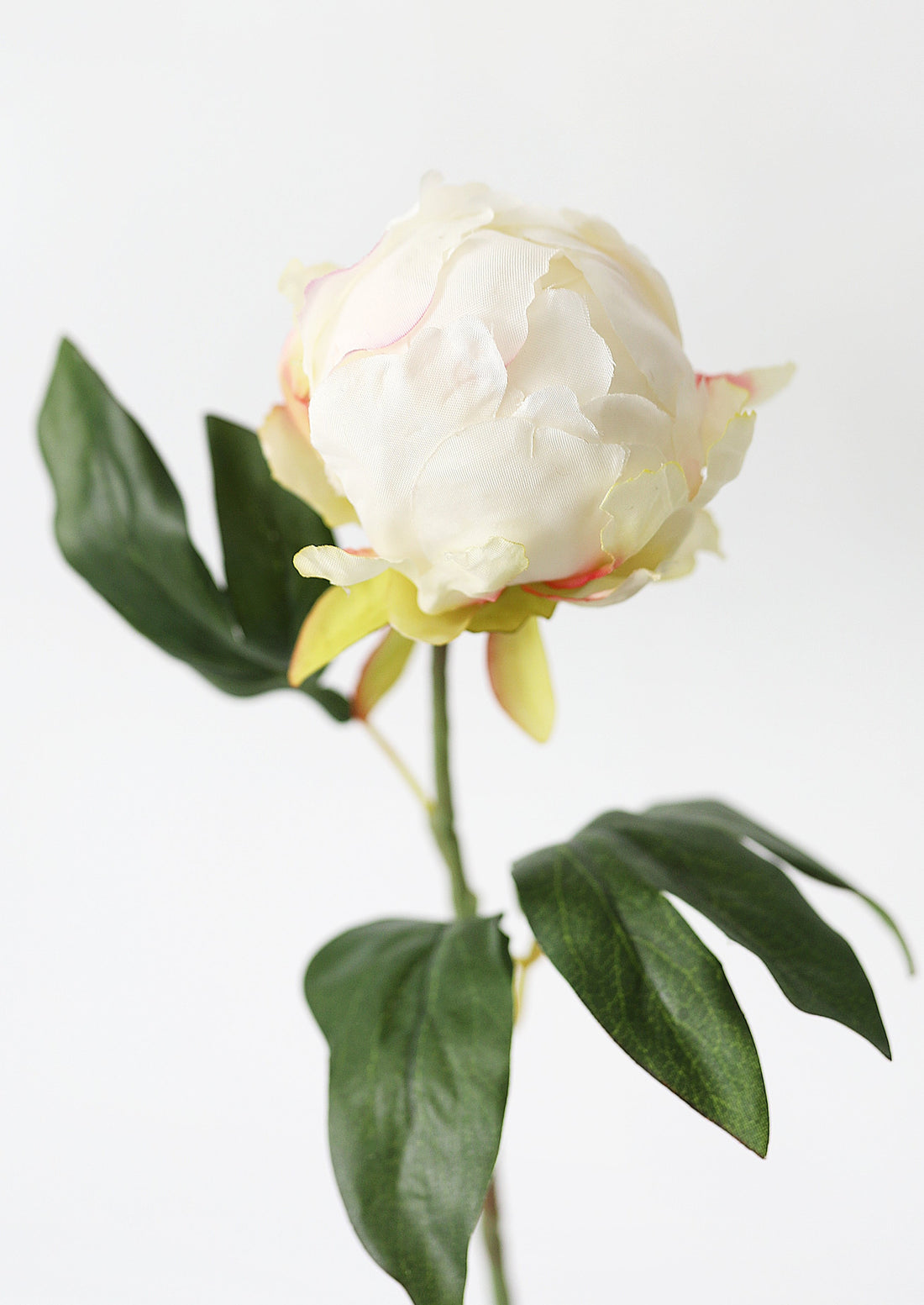 Artificial Flower Peony Bud in Cream - 18&quot;