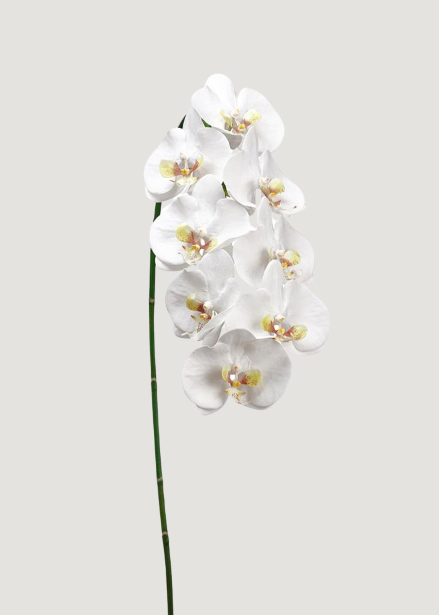 Afloral Luxury Fake Flowers White Phalaenopsis Orchid Spray