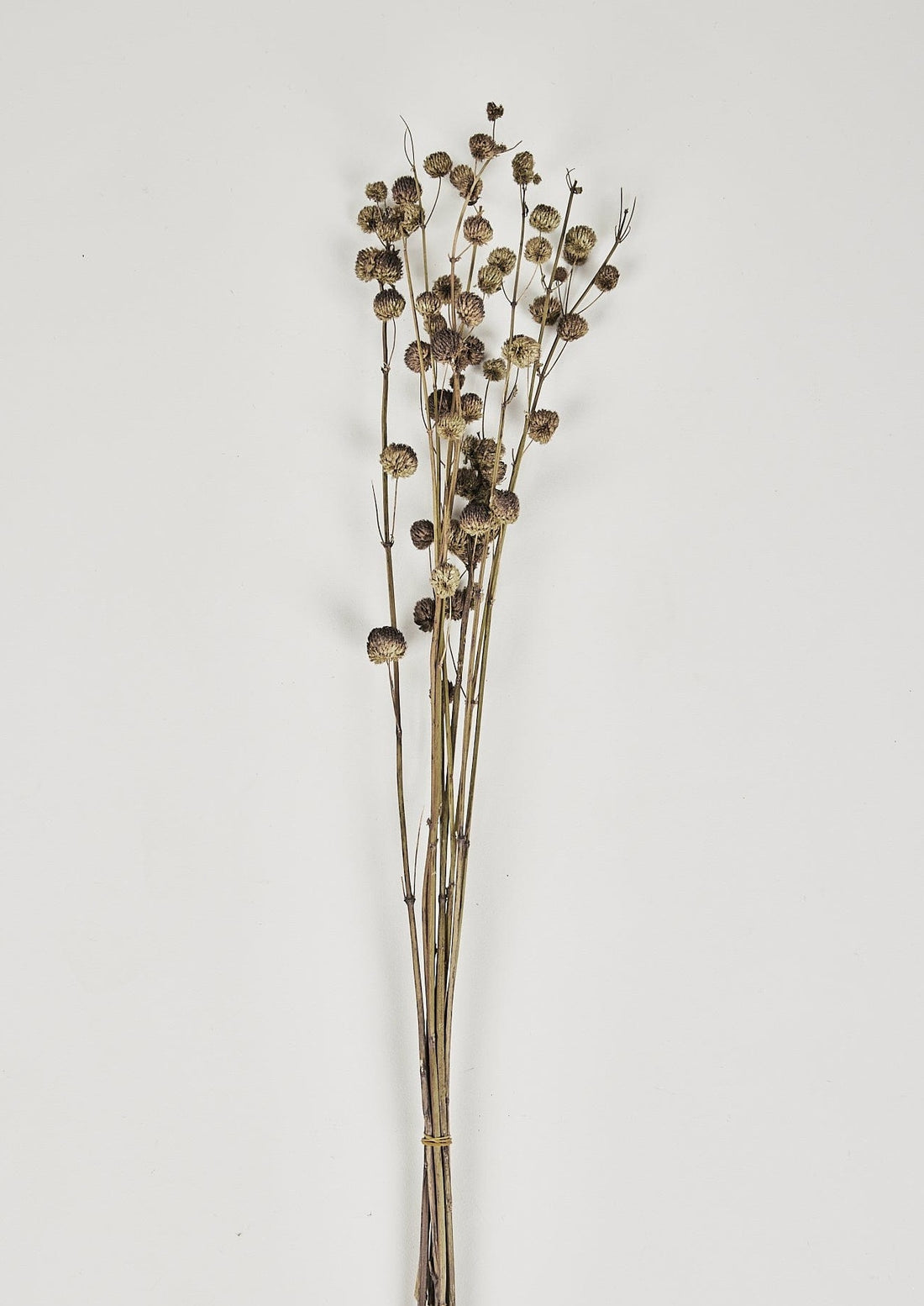 Natural Touch Artificial Delphinium Flower in Cobalt Blue - 47