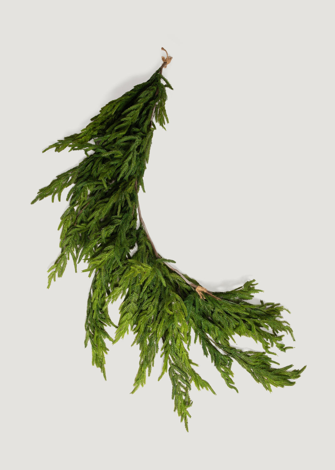 Afloral Real Touch Norfolk Pine Dripping Garland