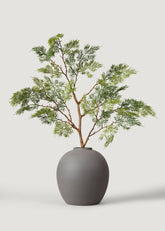 Artificial Winter Cedar Branch in Afloral Edie Vase