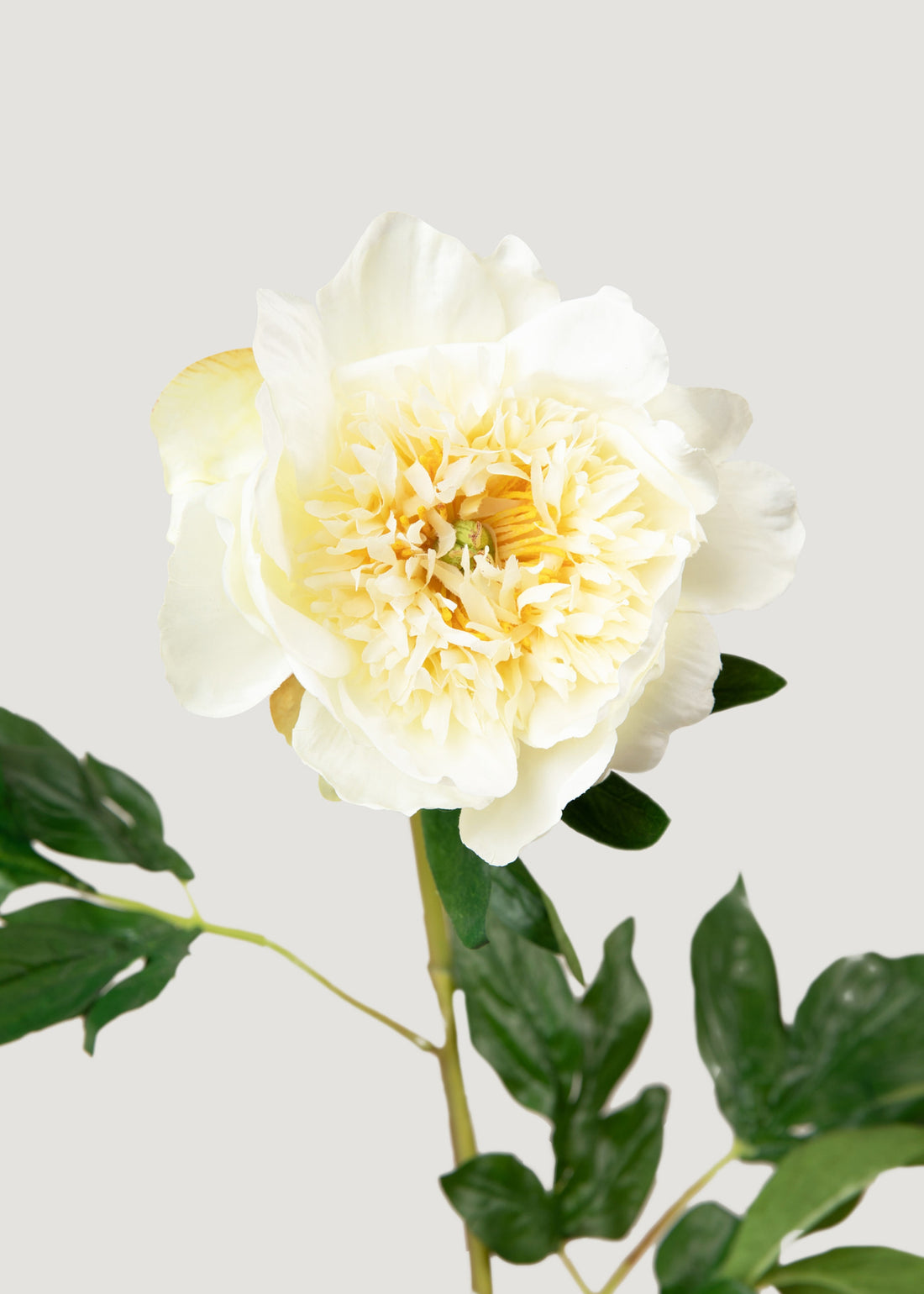 Artificial Cream Peony