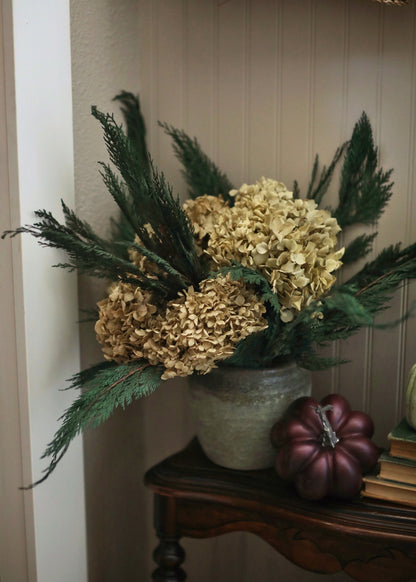 Preserved Cedar Holiday Decor