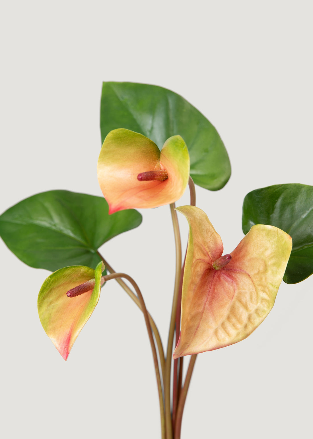 Artificial Anthurium Bundle