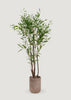 Fake Potted Bamboo Tree