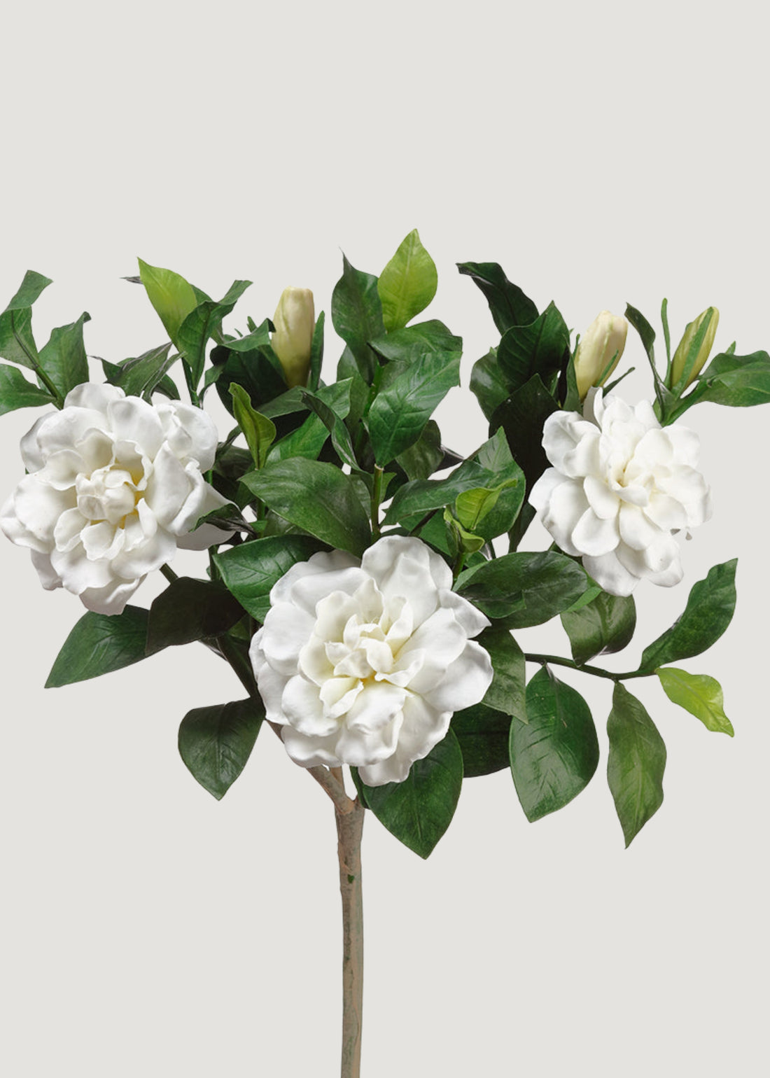 Artificial Gardenia