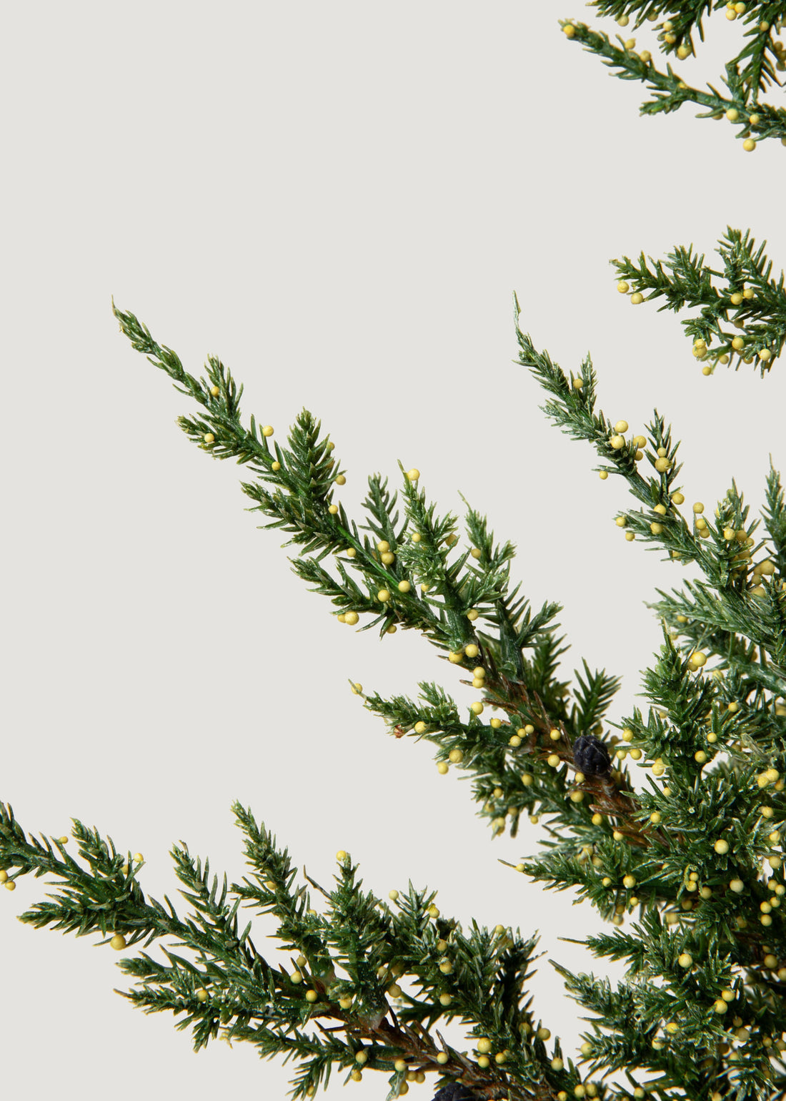 Faux Evergreen Pine