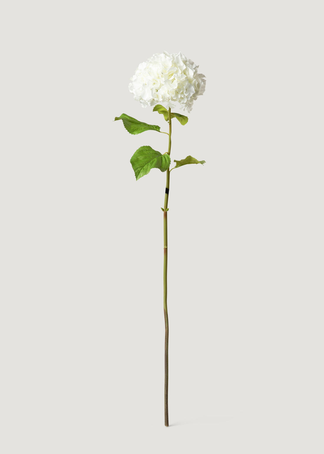 Tall Hydrangea Faux Flower in White 