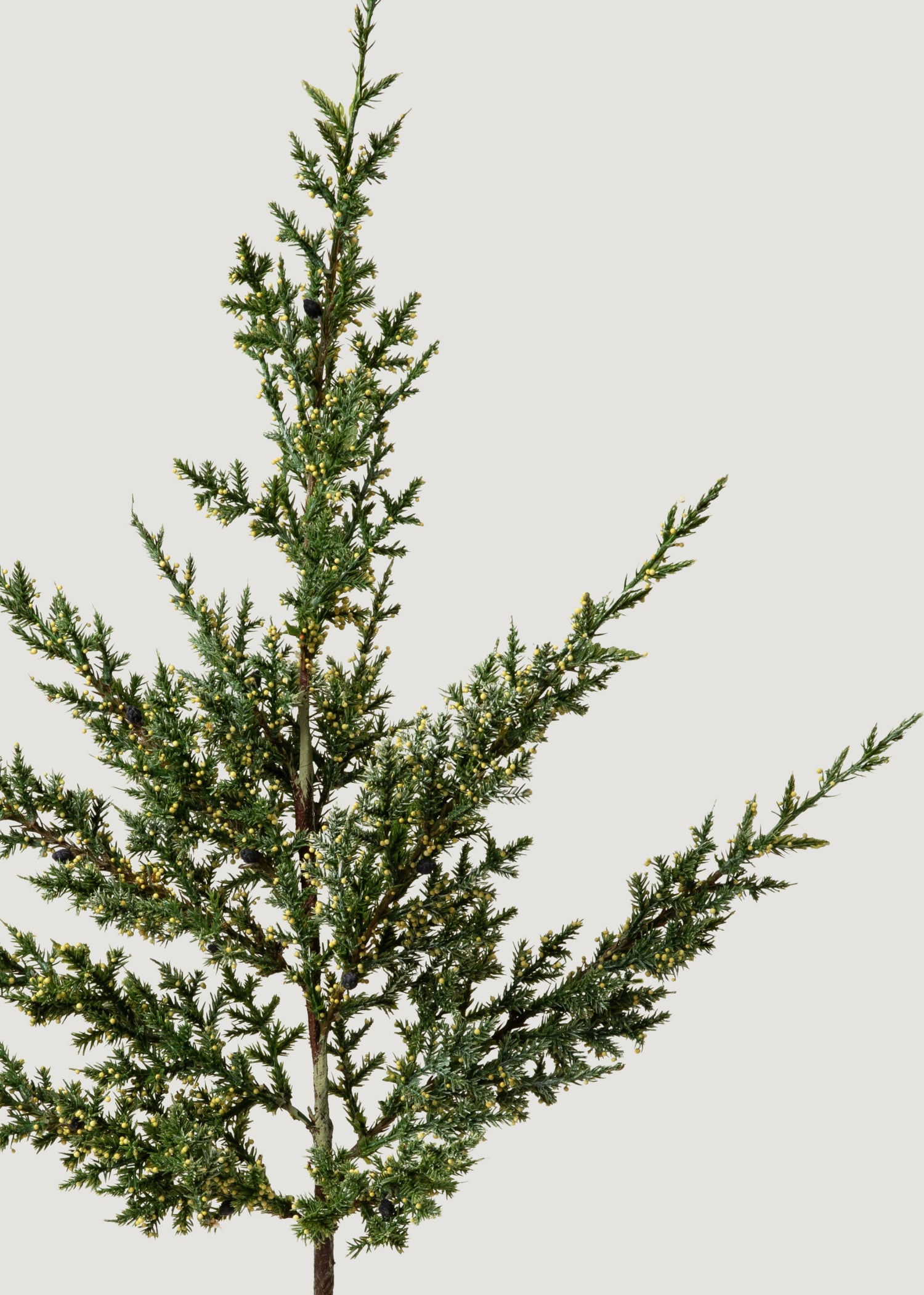 Fake Evergreen Pine Branch