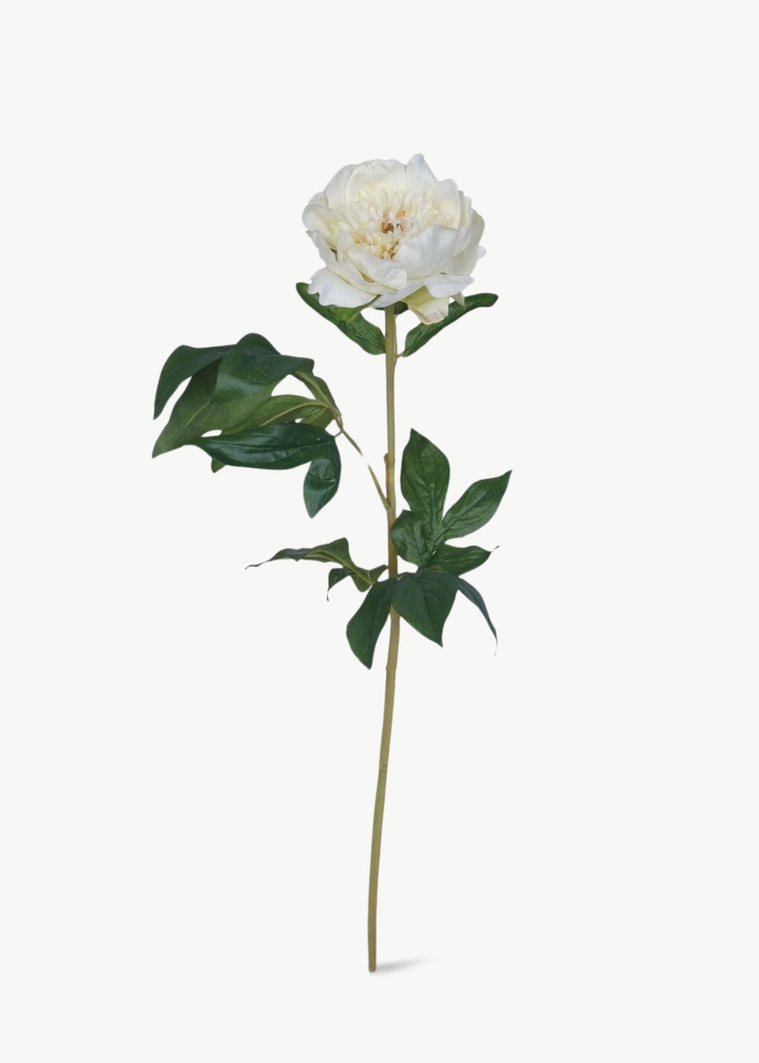 Cream White Artificial Peony