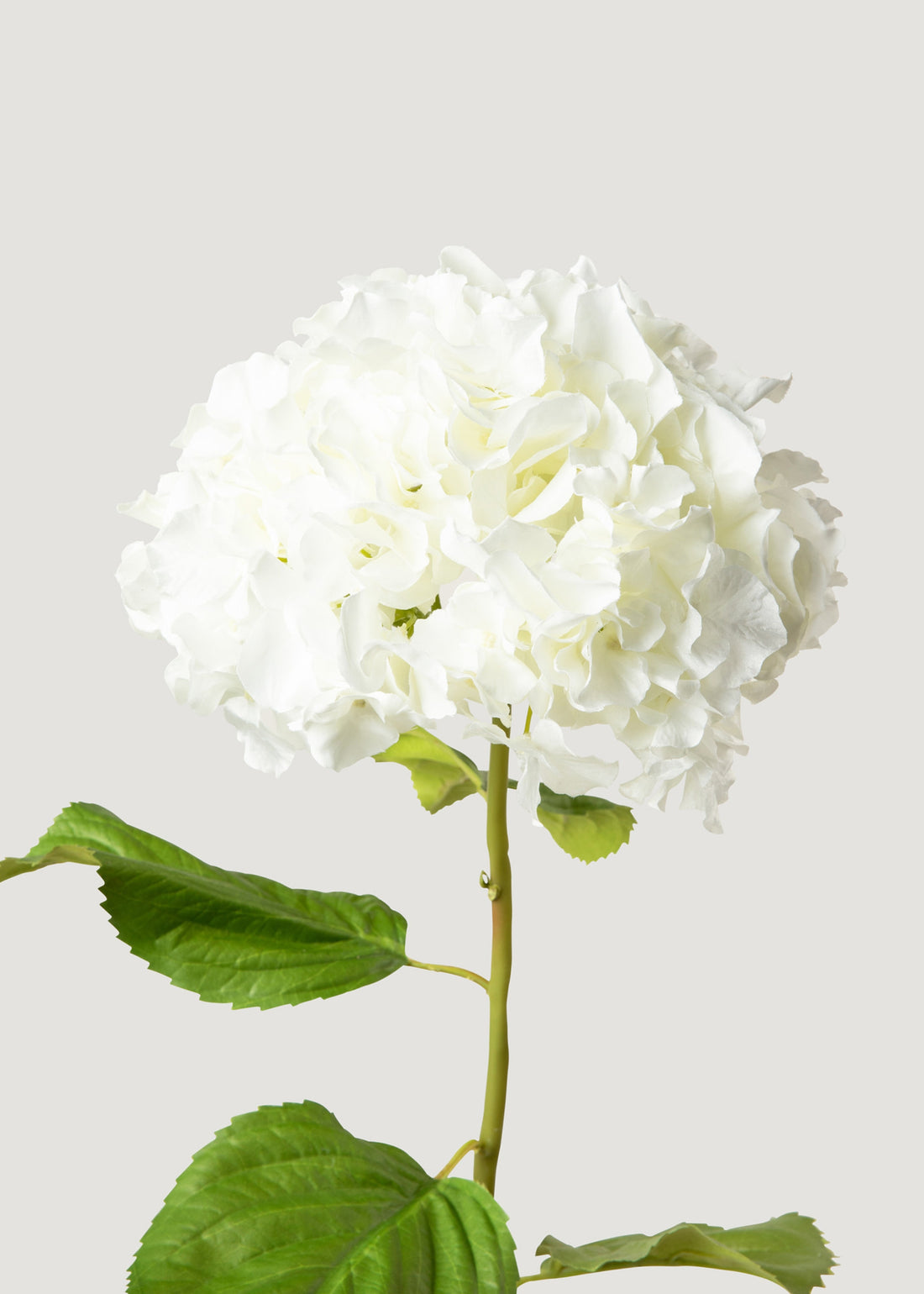 Tall White Hydrangea Faux Flower