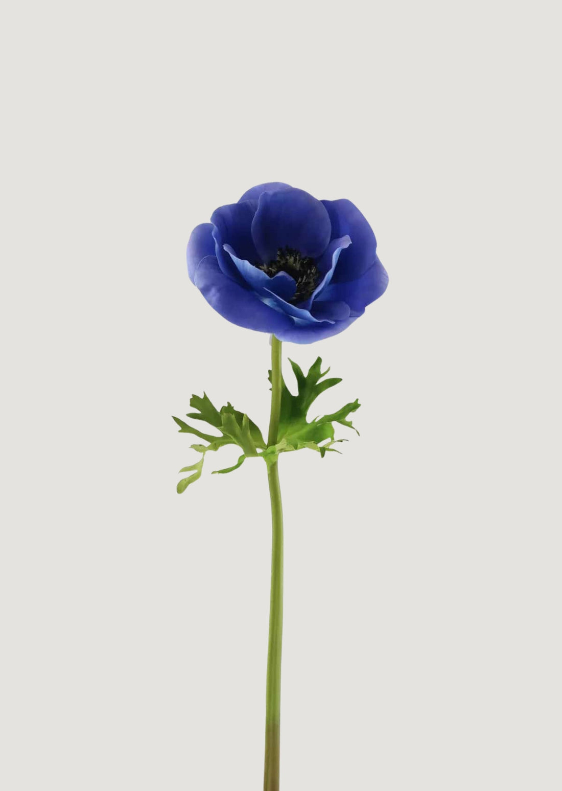 Real Touch Poppy in Blue