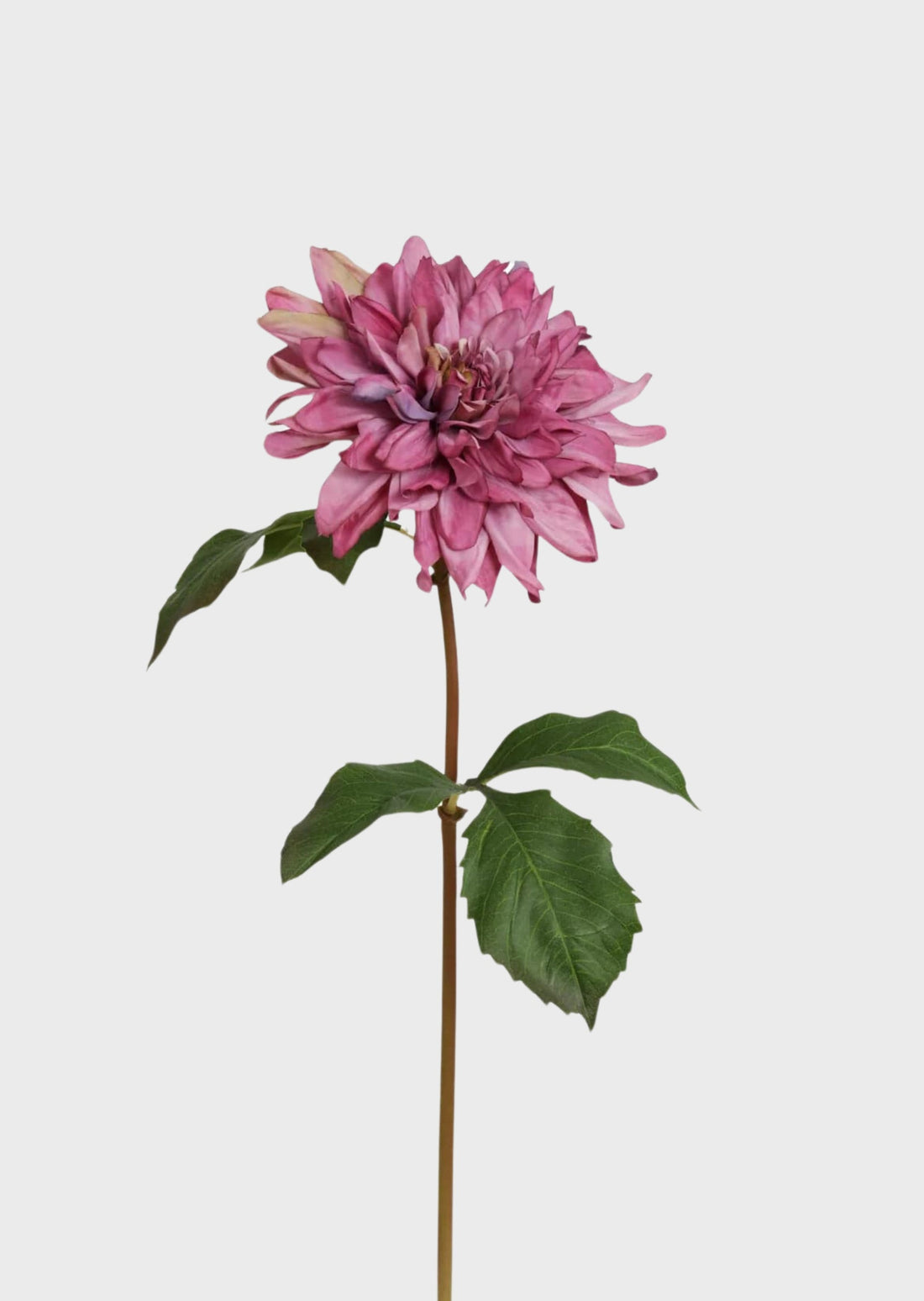 Faux Garden Dahlia in Mauve