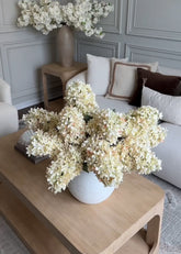 parchment hydrangea in konos vase