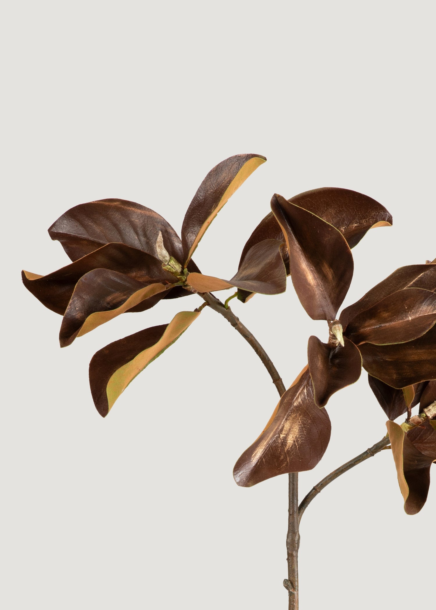 Afloral Faux Fall Stems in Brown Magnolia Leaf Branch