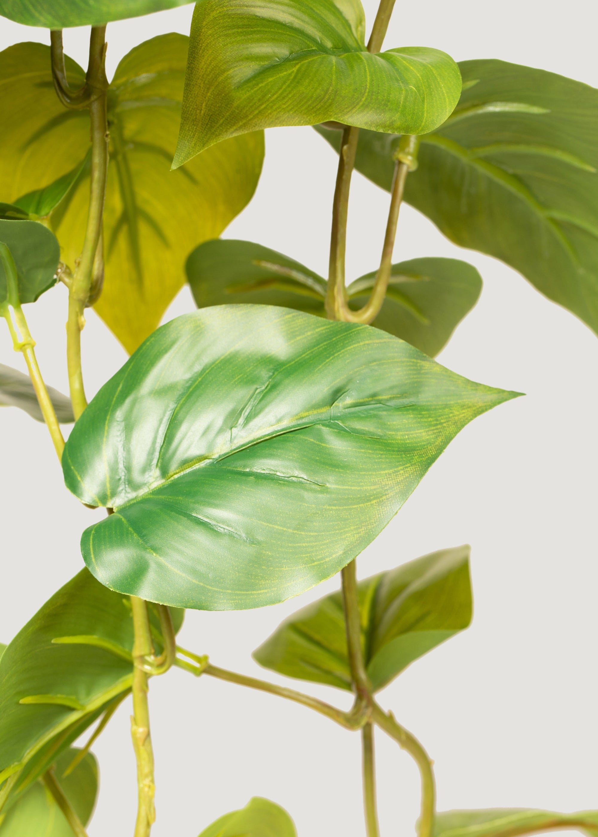 Artificial Philodendron Leaves