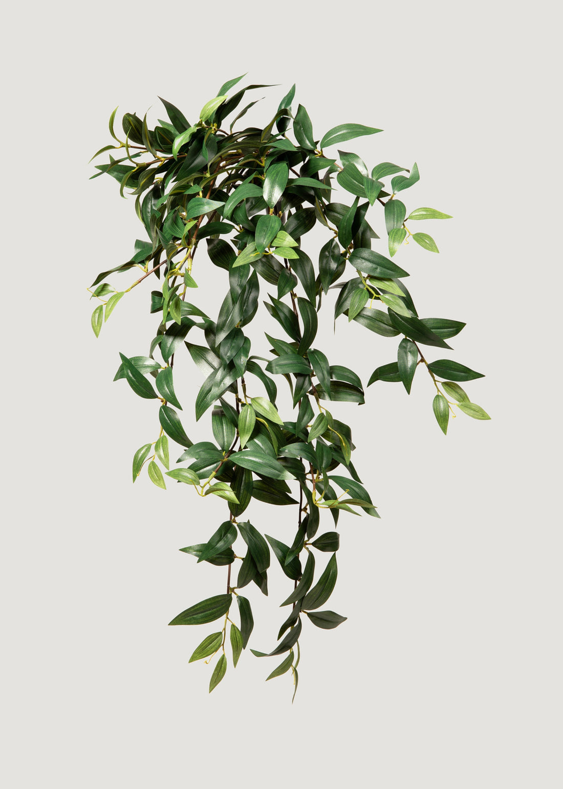 Fake Plants Hanging Ruscus Bush at Afloral