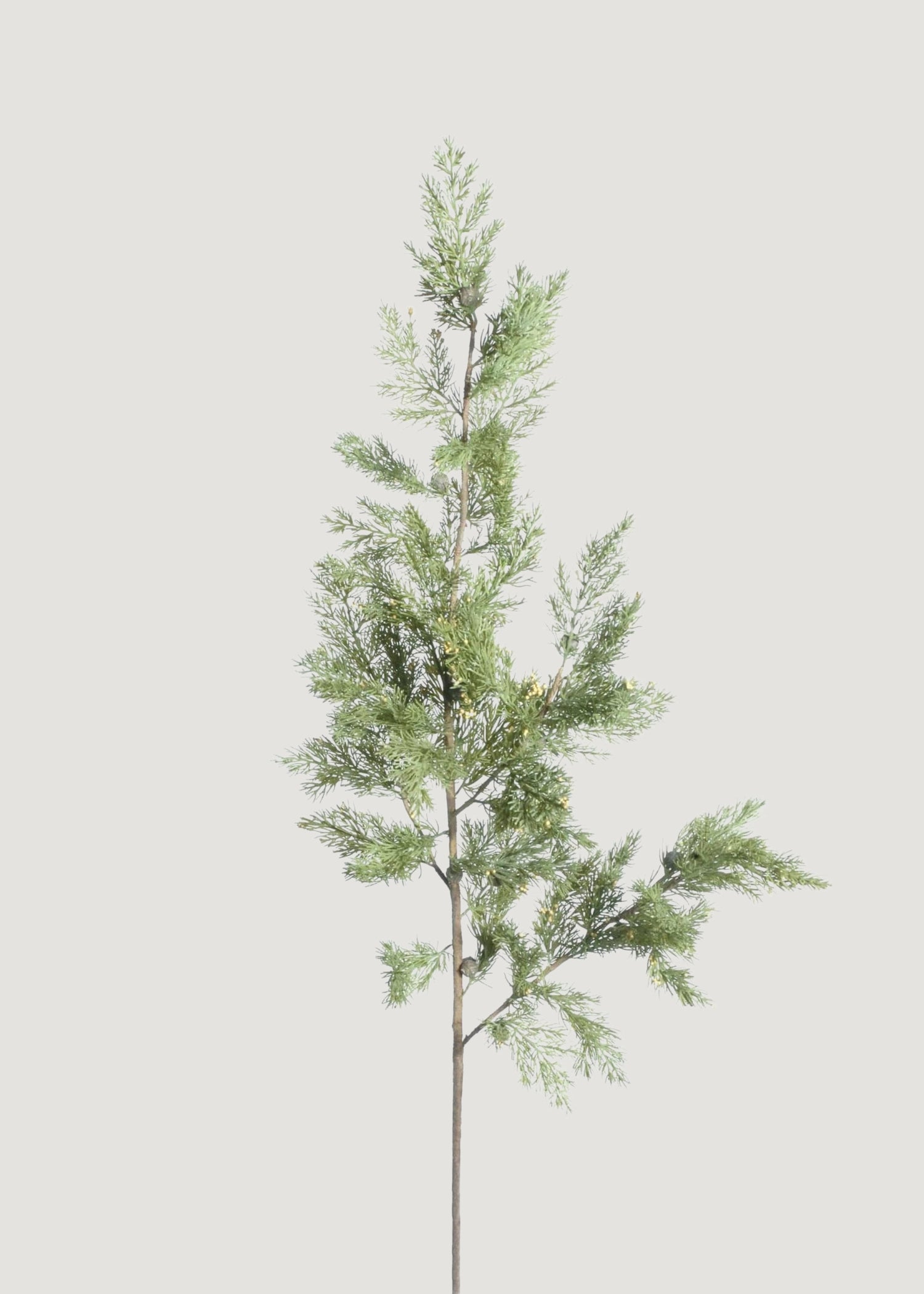 Faux Pine Evergreen Branch 