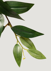 Faux Ruscus Leaves