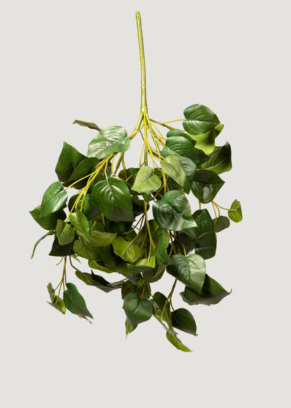 Artificial Philodendron Leaves