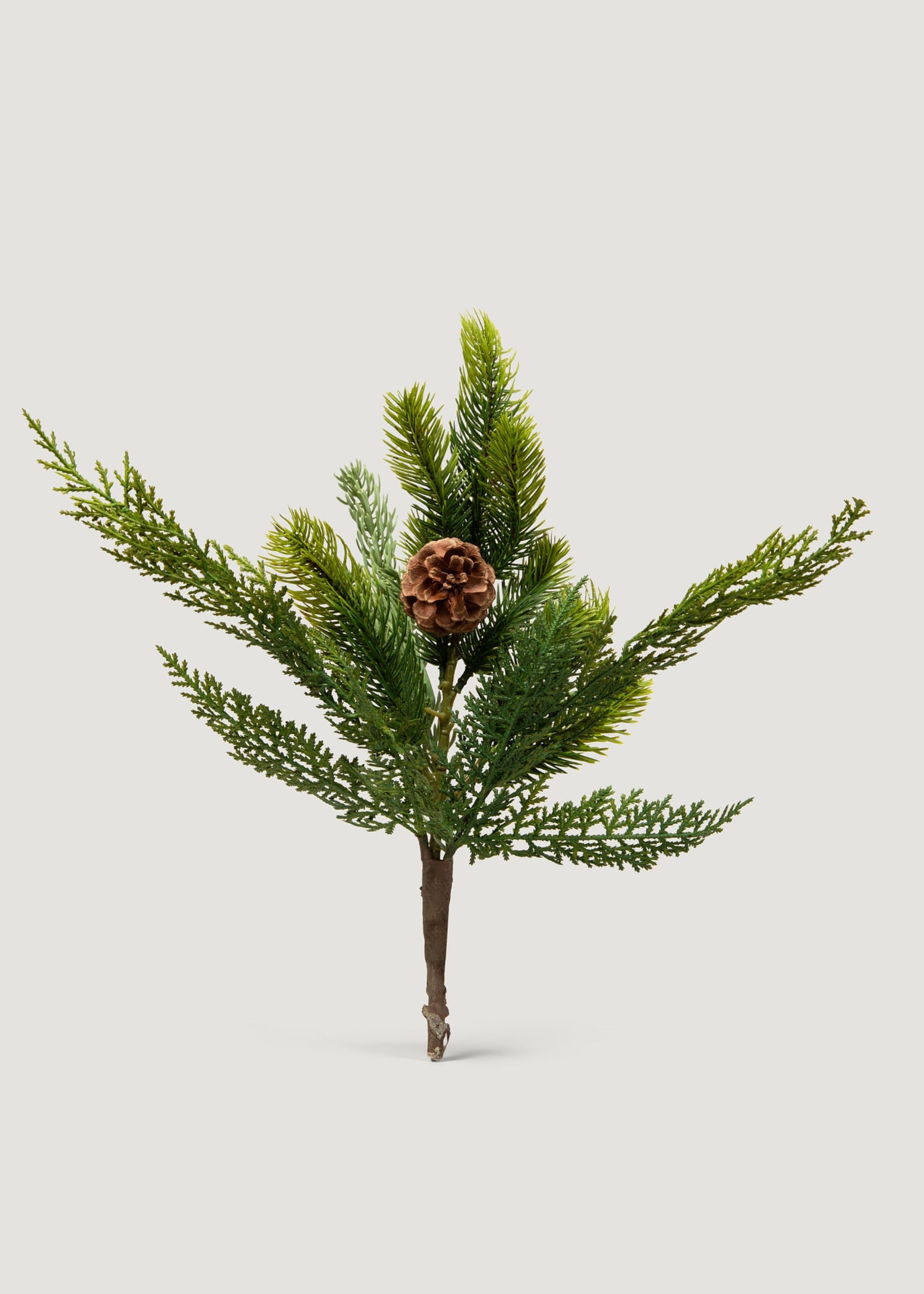 Pine Evergreen Pick