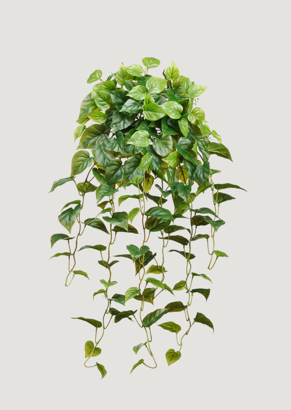 Faux Philodendron Plant