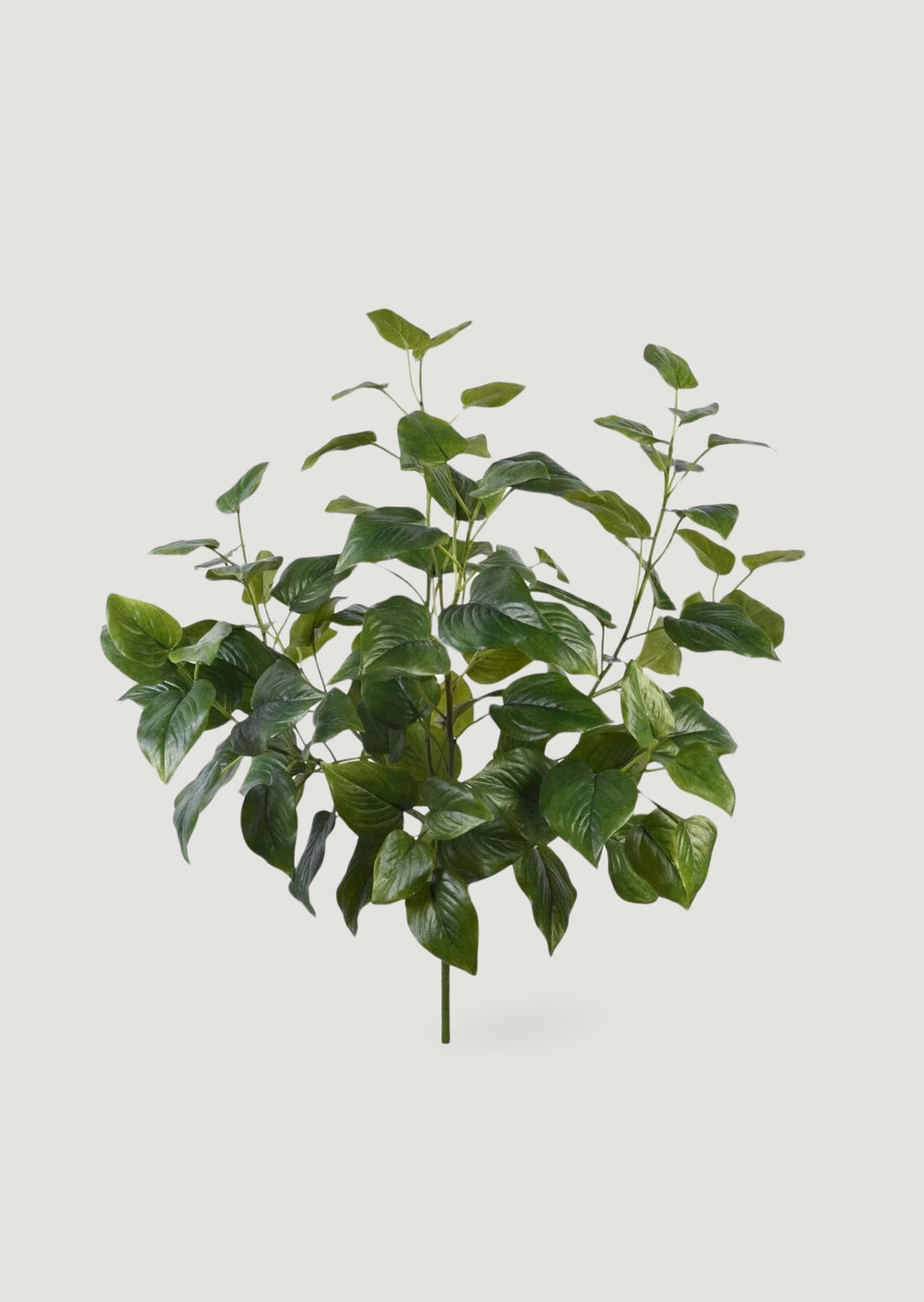 Artificial Philodendron Leaves