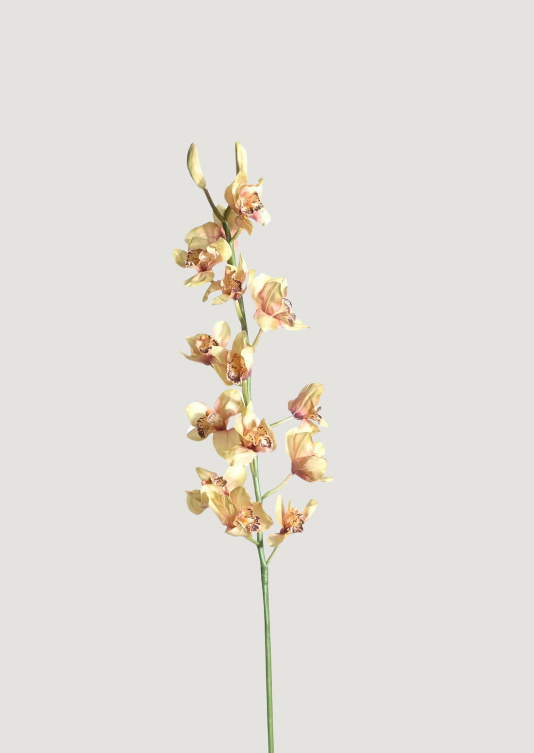 Faux Cymbidium Orchid