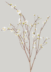 Faux Quince Blossom Branch