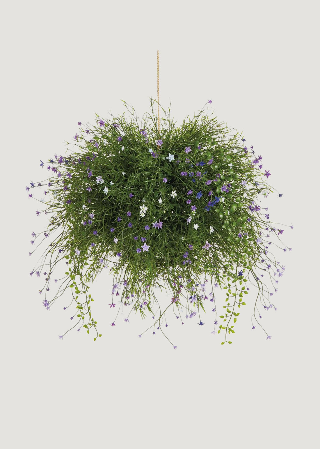 Flower and Fern Hanging Basket