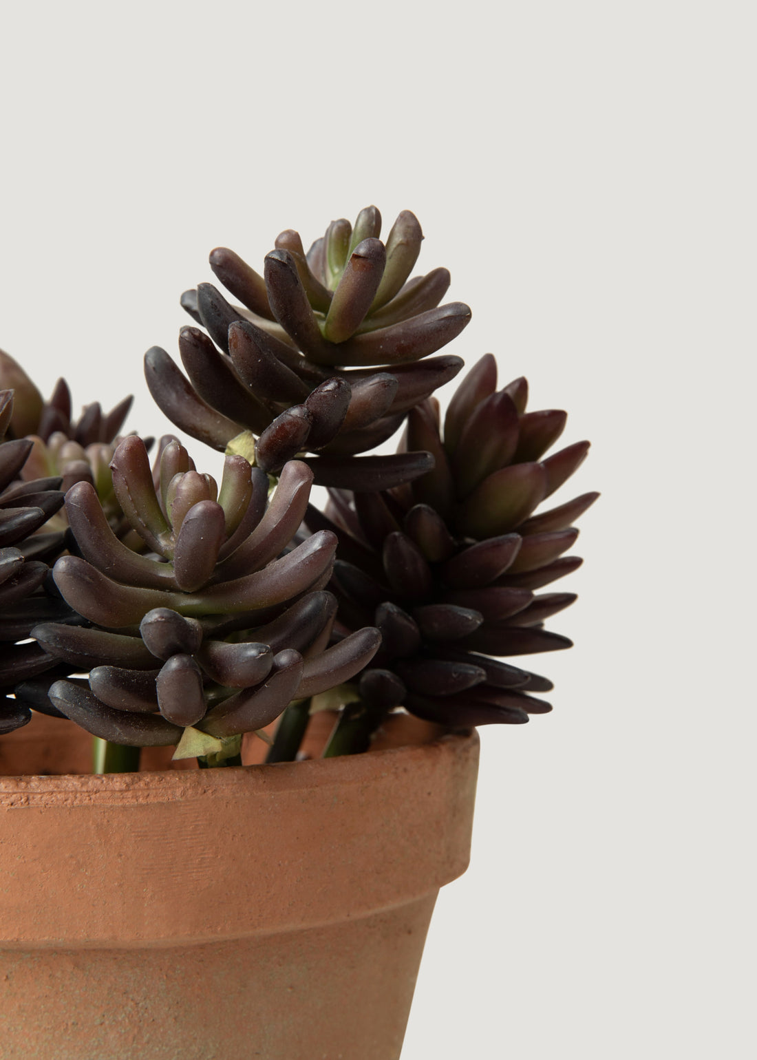 Faux Succulents in Pot