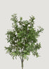 Fake Boxwood Plant