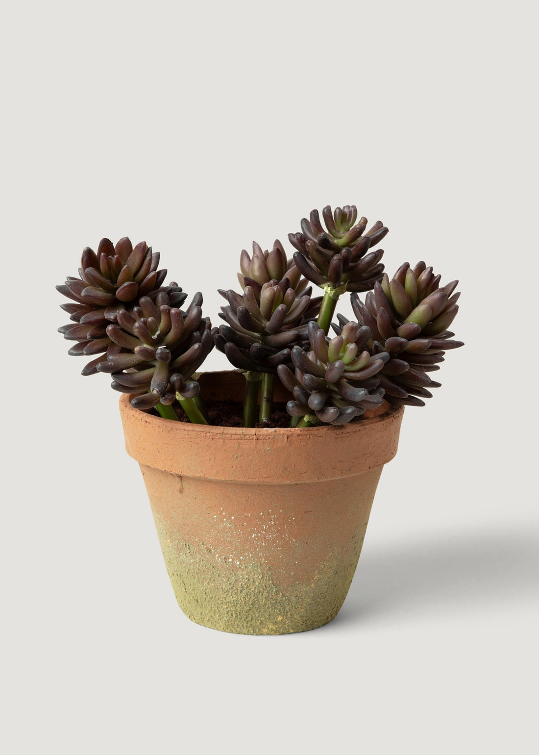 Small Artificial Potted Succulent Plant 