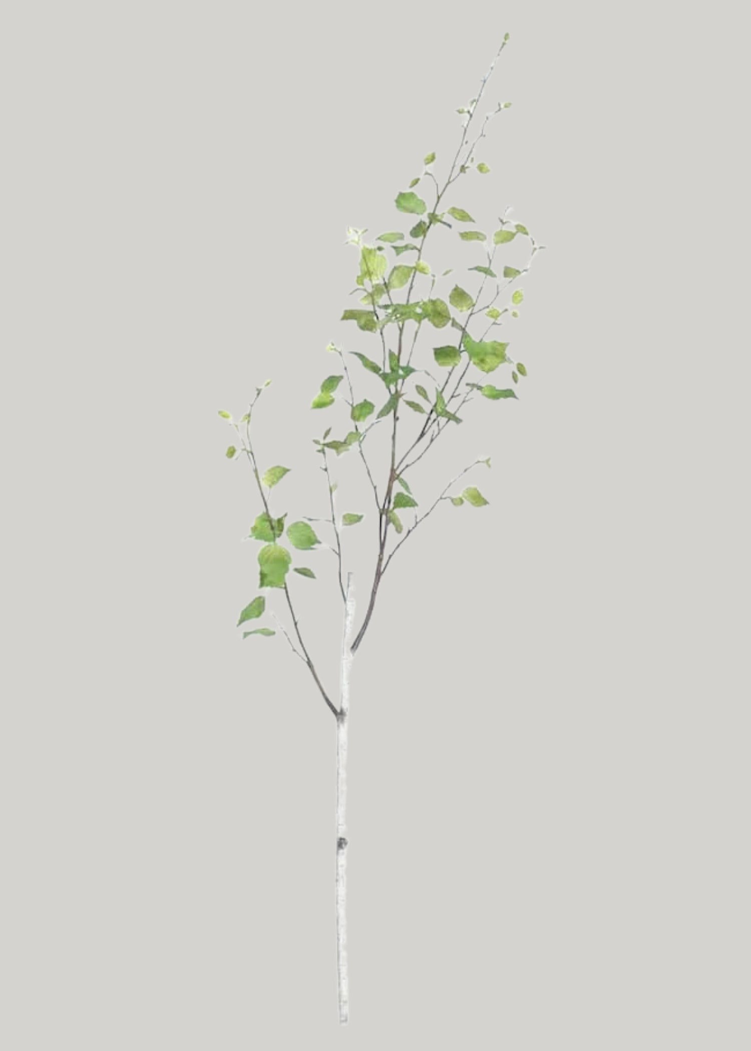 Artificial Birch Leaf Branch - 52&quot;