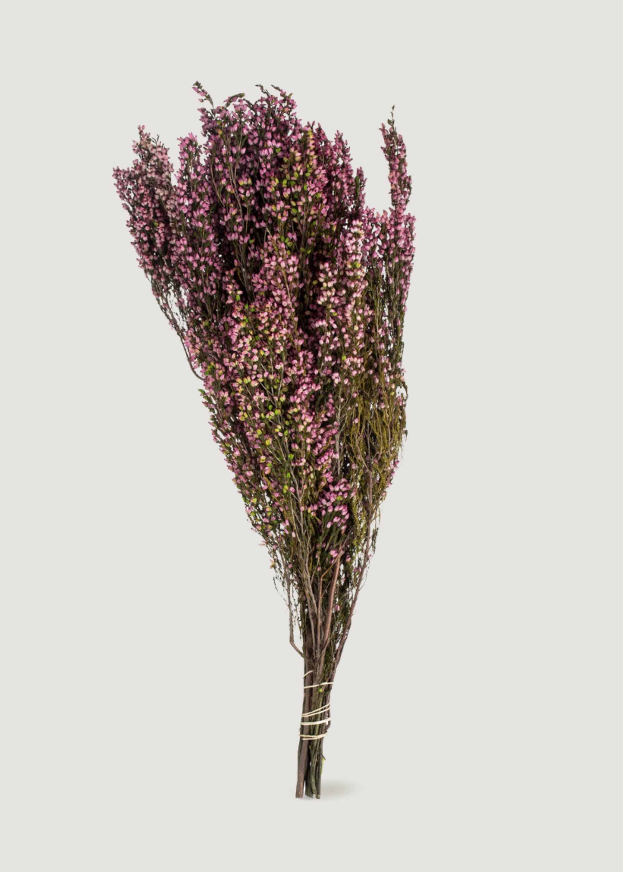 Preserved Heather Bundle