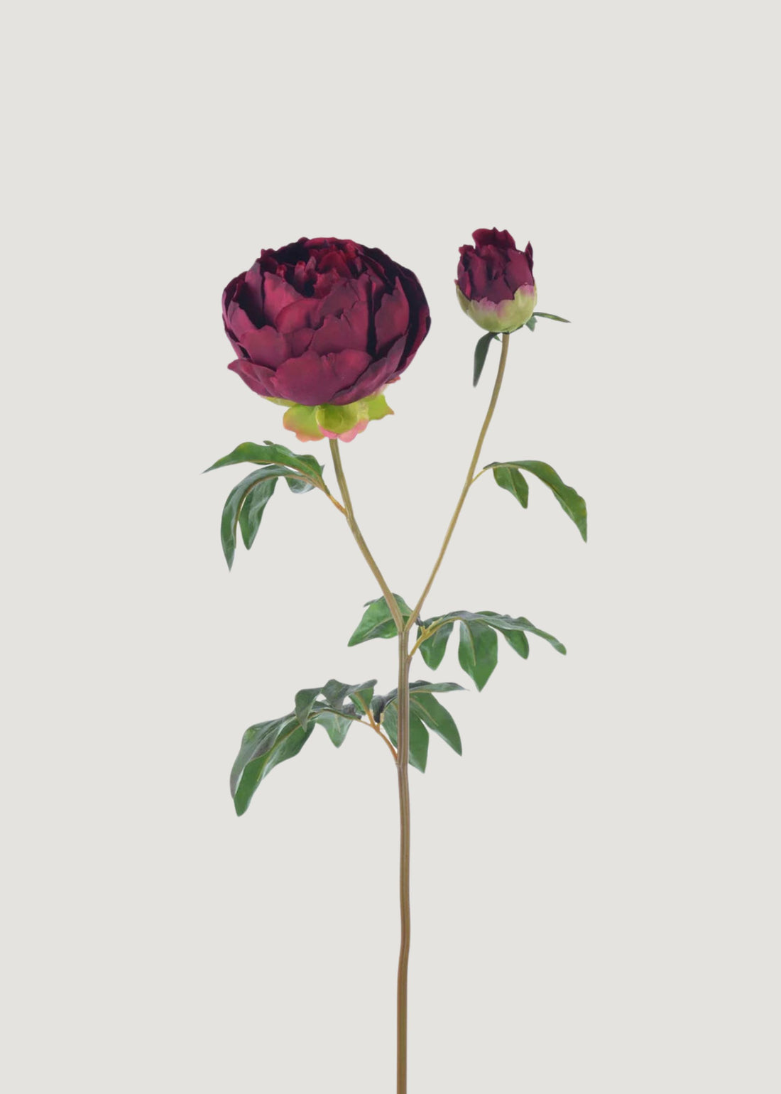 Real Touch Peony in Burgundy