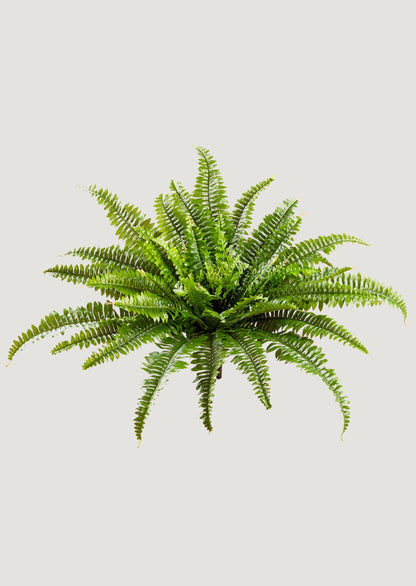 UV Treated Faux Fern