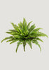 UV Treated Faux Fern