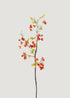 Orange Plum Blossom Branch