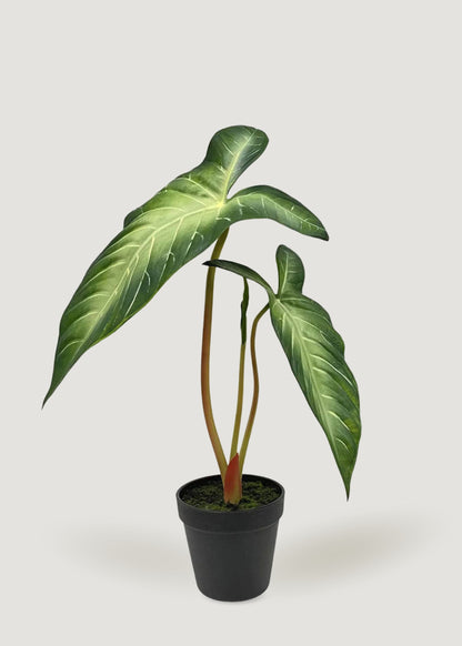 Real Touch Alocasia Potted Plant