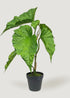 Fake Alocasia Potted Plant 