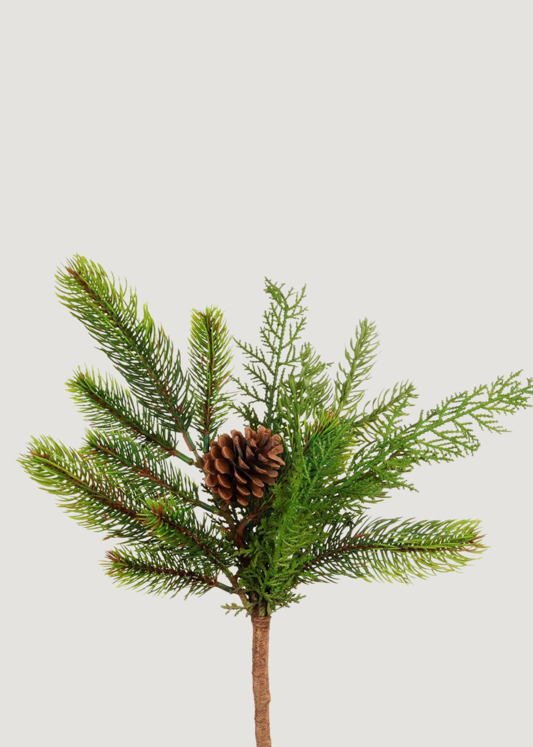 Pine Evergreen Pick