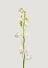 Cream Dendrobium Orchid Fake Flowers at Afloral