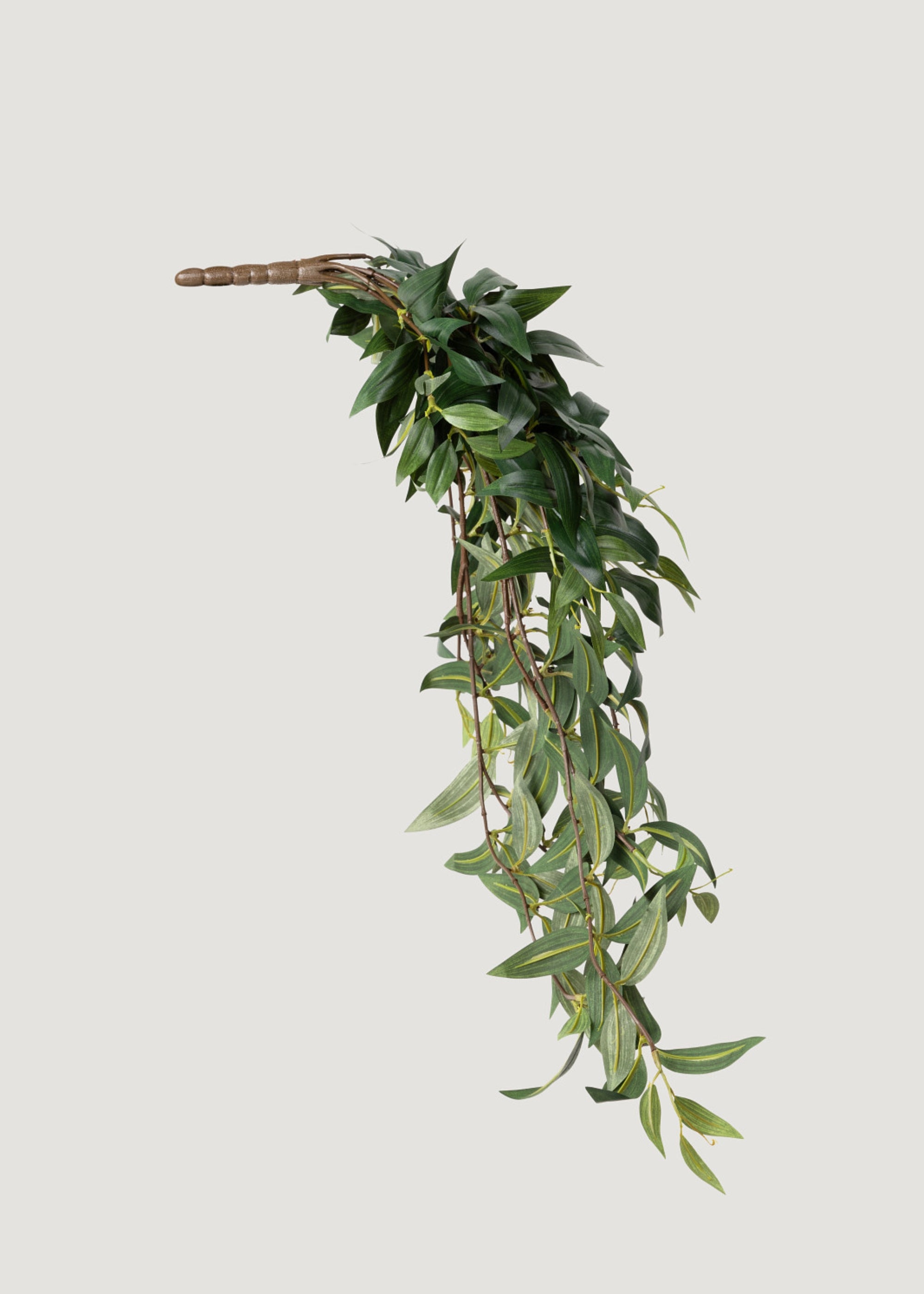 Hanging Fake Ruscus Leaves