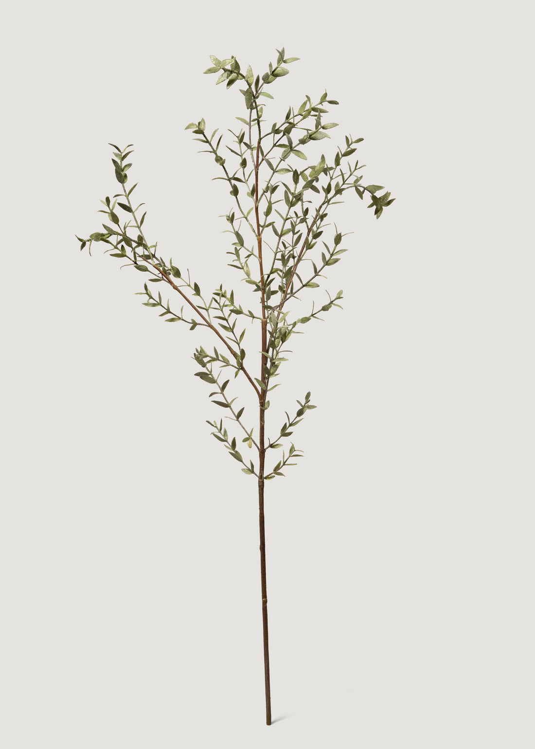 Faux Eucalyptus Branch