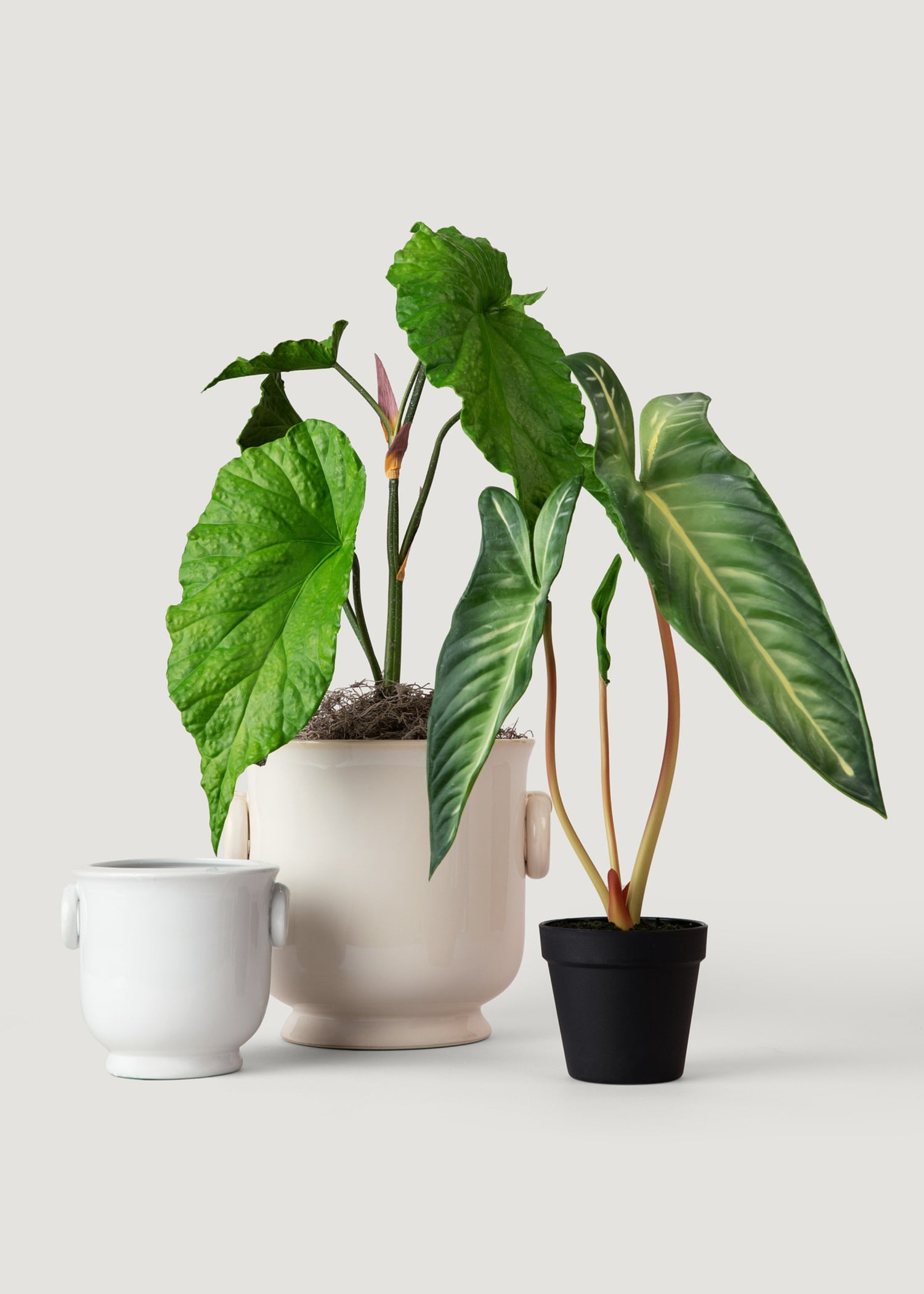 Artificial Alocasia Potted Plants