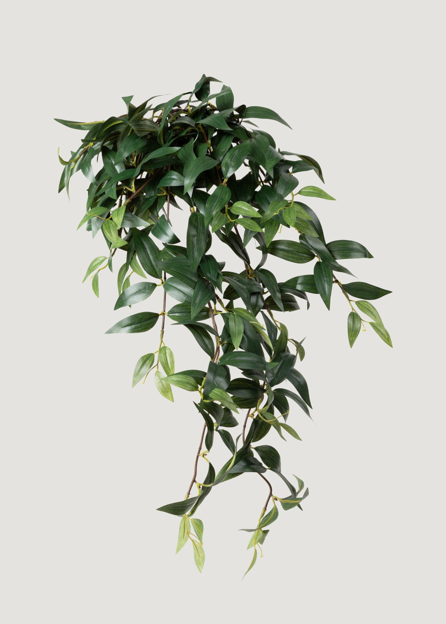 Artificial Ruscus Leaves