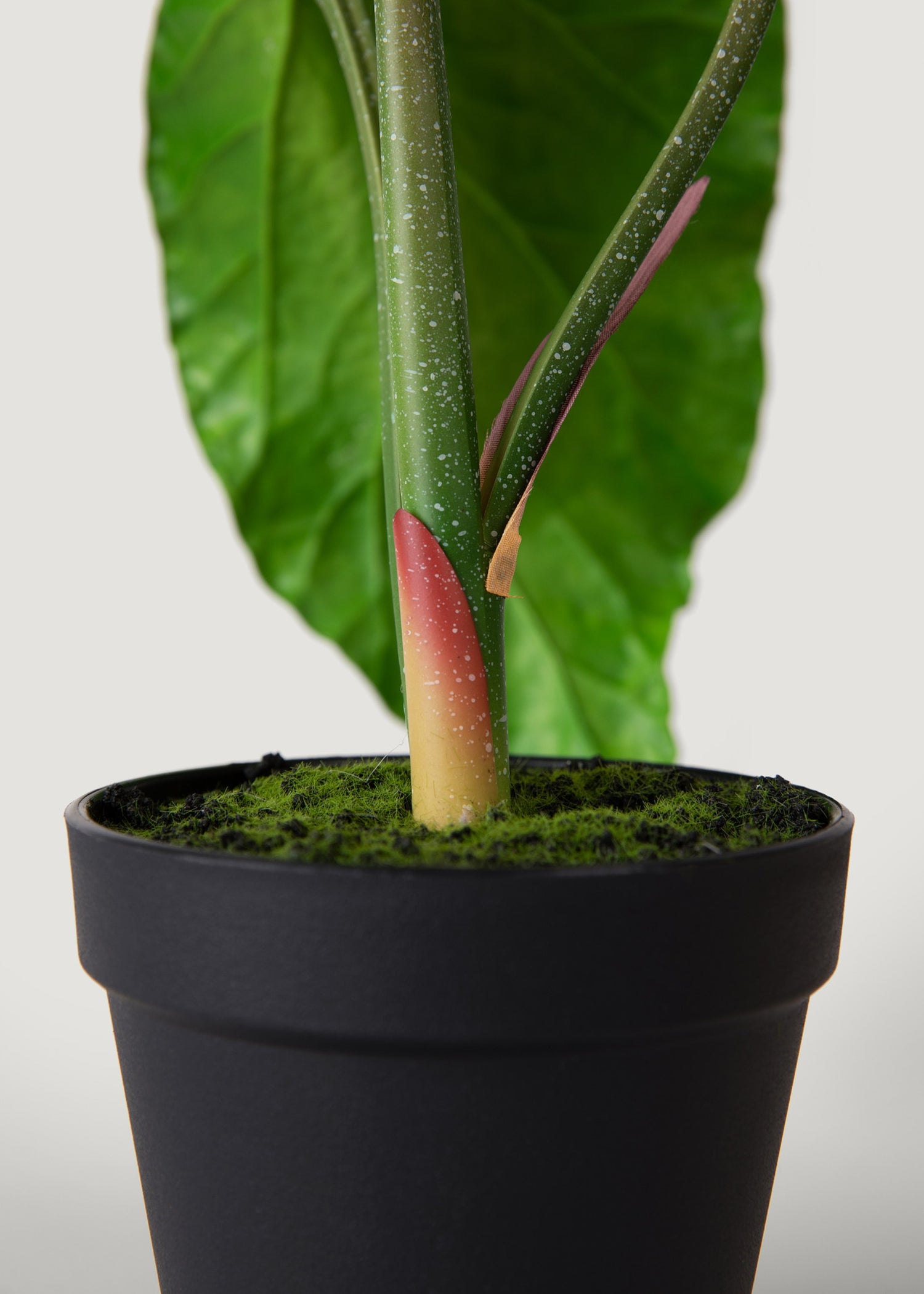 Faux Potted Alocasia