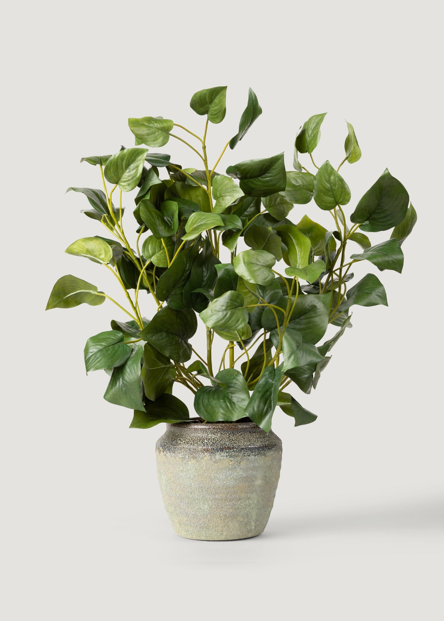 Faux Philodendron Plant